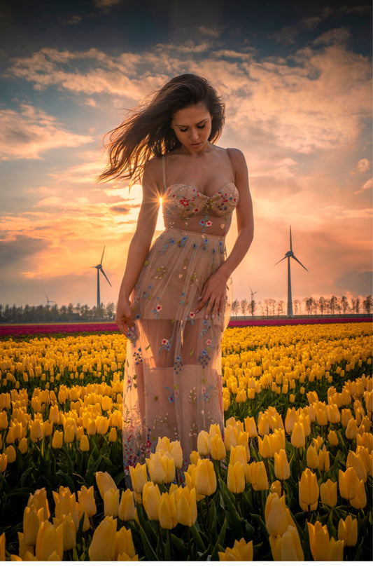 Rochie maxi din tulle cu broderie